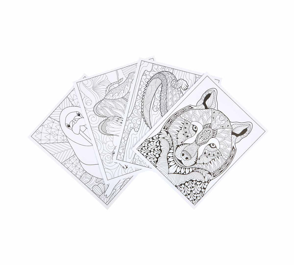 Art with Edge Jungle Animal Coloring Book