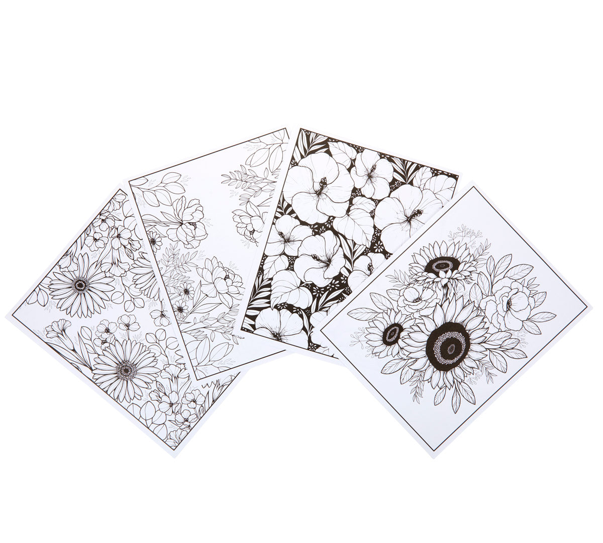 Florals A Flower Coloring Book