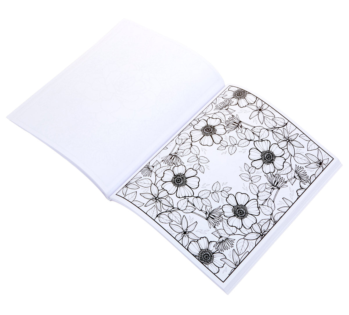 Florals A Flower Coloring Book