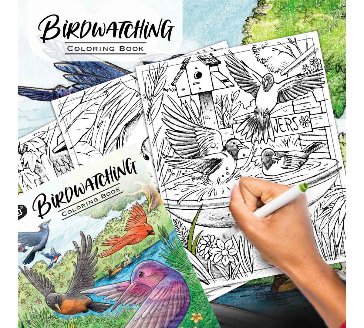 Bird Watching Coloring Book
