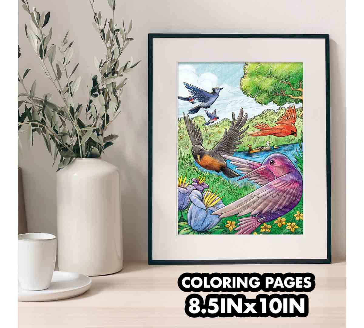 Bird Watching Coloring Book