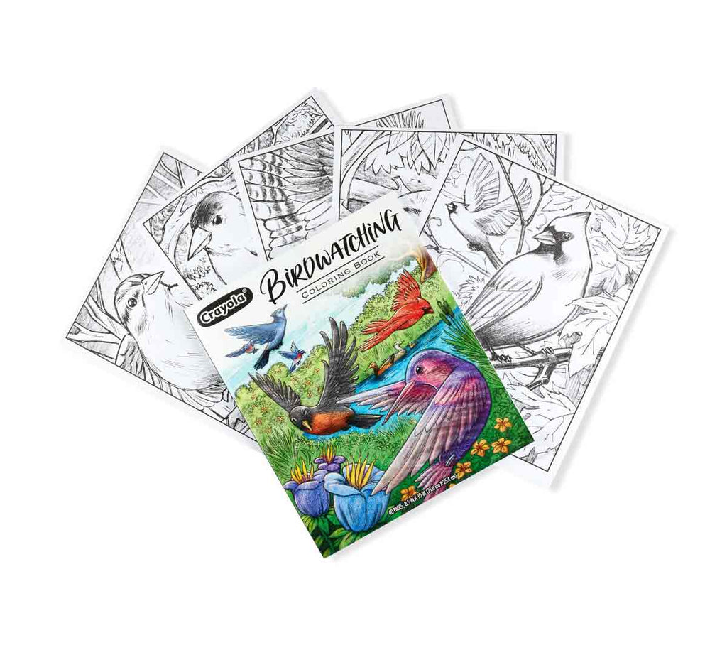 Bird Watching Coloring Book