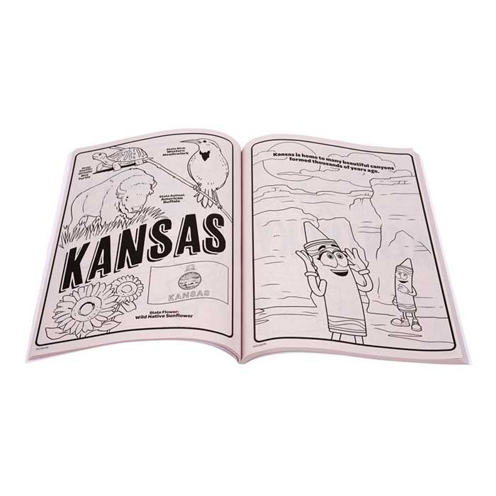 America's 250th Birthday Coloring Book 96 pages
