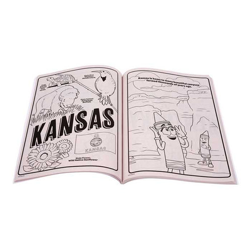 America's 250th Birthday Coloring Book 96 pages