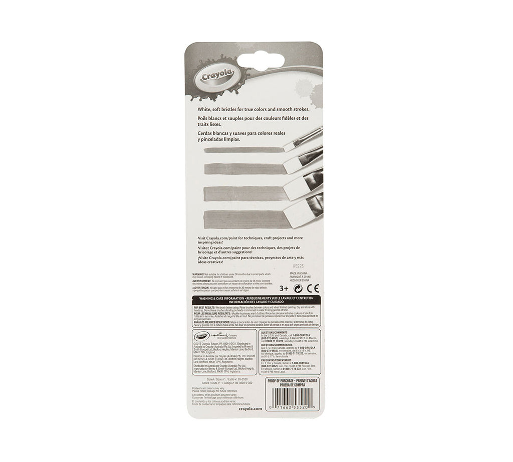 Big Paintbrush Set 4 ct. Flat