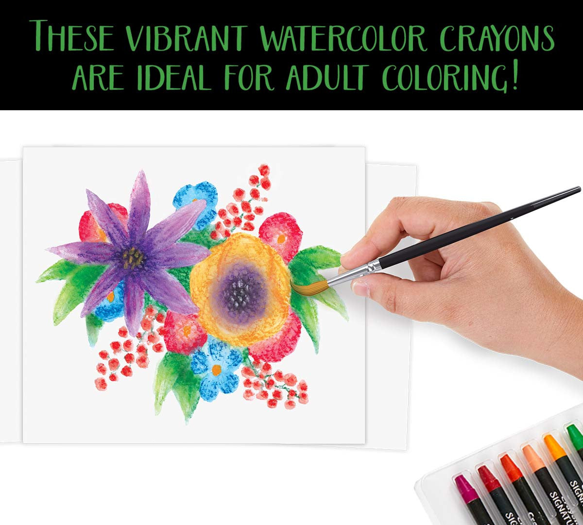Signature Premium Watercolor Crayons Painting Set