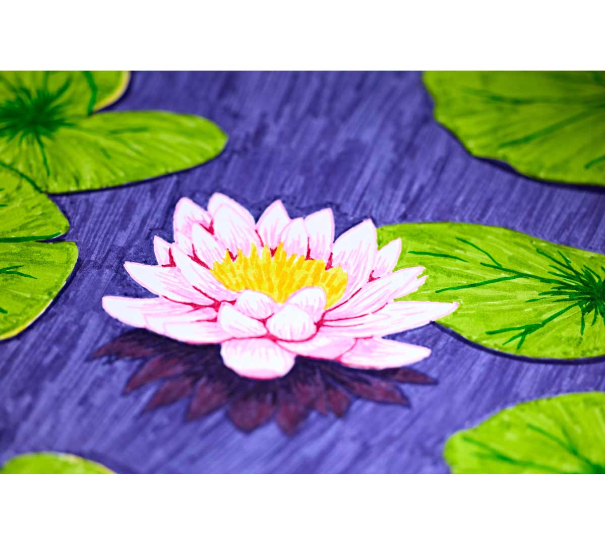 Color &amp; Detail Markers 50 Count
