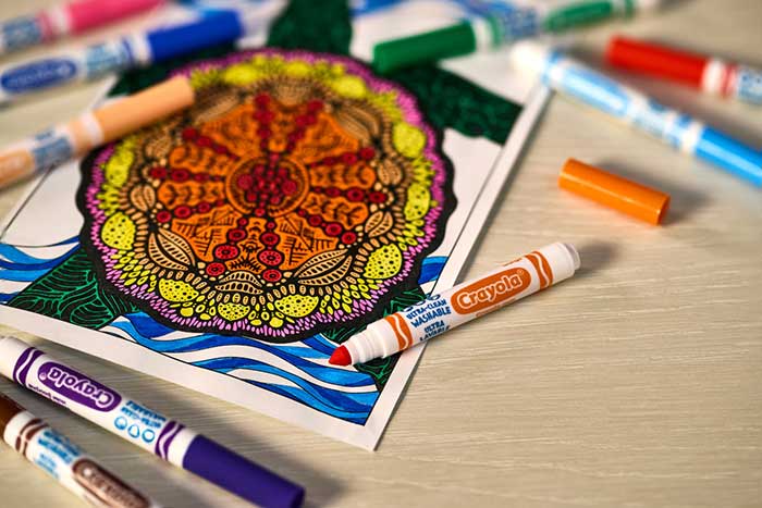 Ultra-Clean Washable Markers Broad Line 12 Count