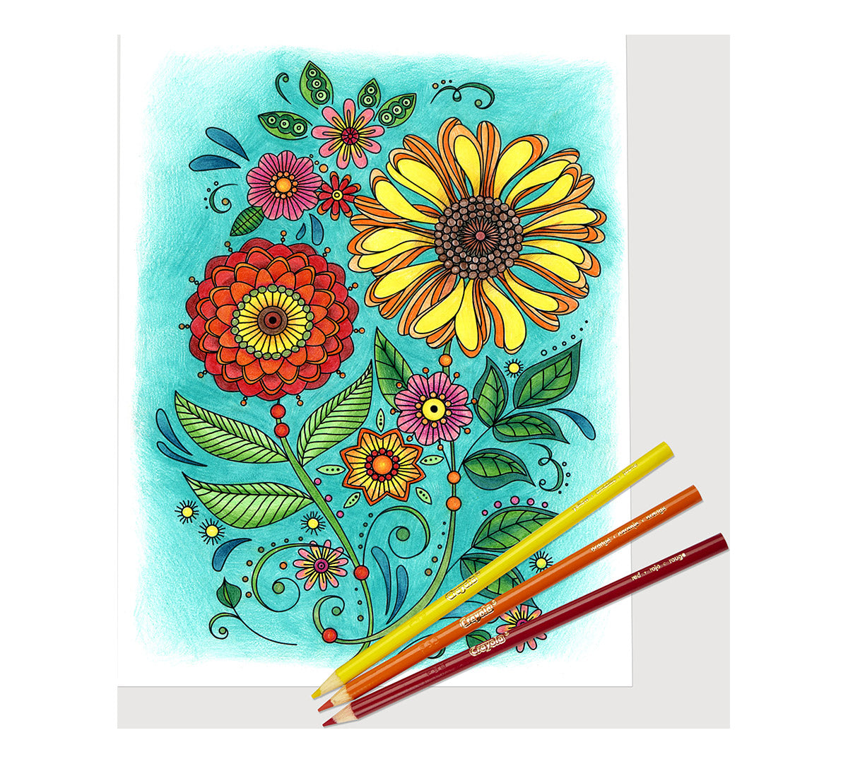 Colored Pencils 50 Count