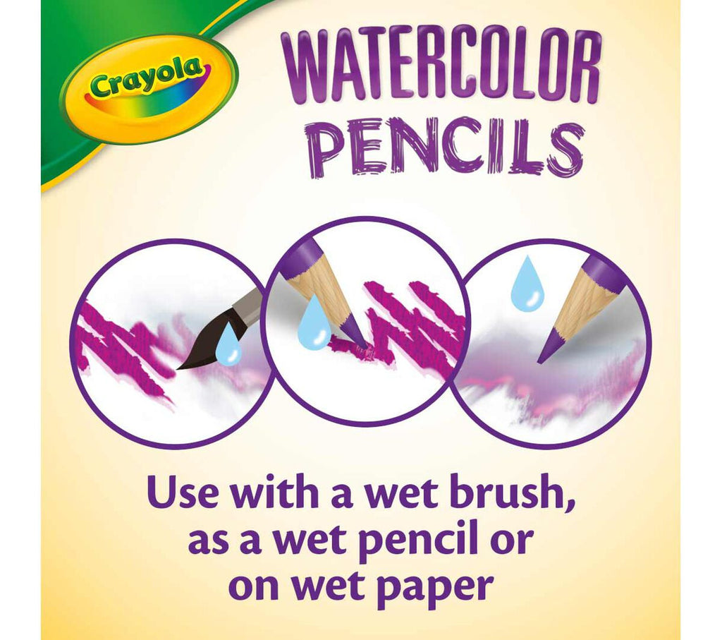 Watercolor Pencils Classpack 240 Count 12 Colors