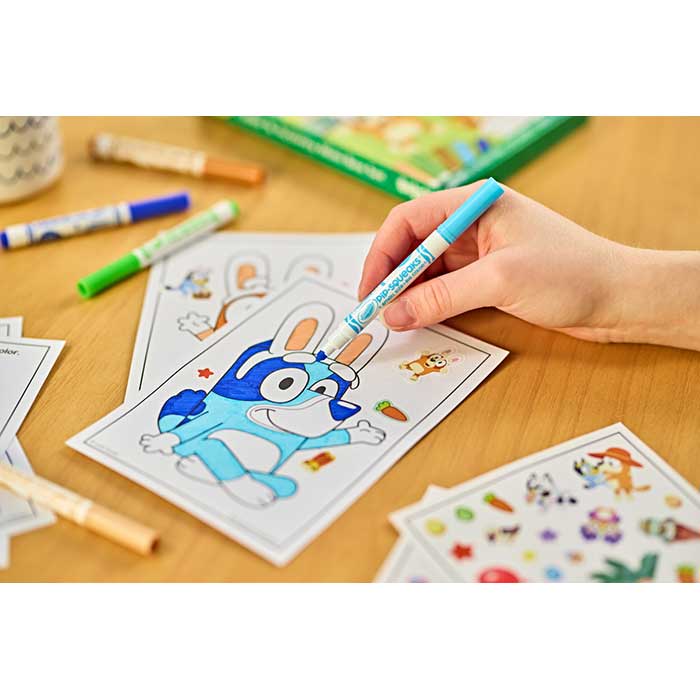 Bluey Color &amp; Activity Mini Box Set